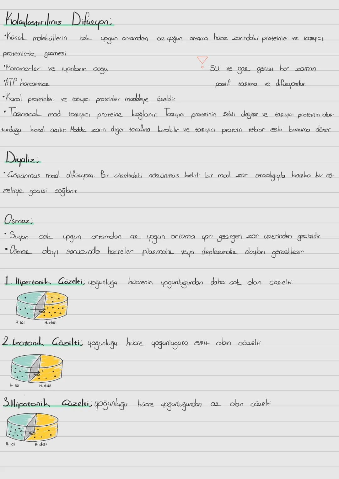 Hücre Zari
ve
-Hücre Zarından Madde Taşınması;
Prokaryot; Gekirdek zarı
ve zorli organel bulunmaz. Halkasal DNA sitopbema isinde dağınık obr