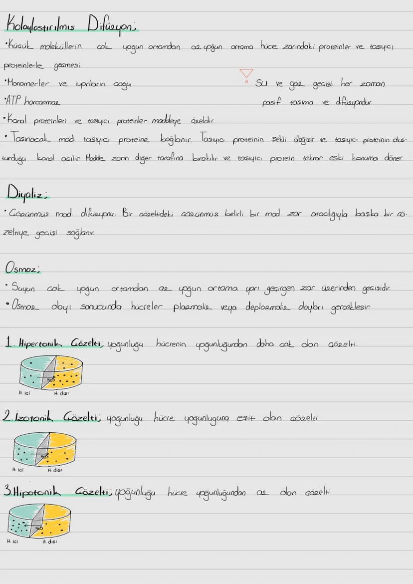 Hücre Zari
ve
-Hücre Zarından Madde Taşınması;
Prokaryot; Gekirdek zarı
ve zorli organel bulunmaz. Halkasal DNA sitopbema isinde dağınık obr