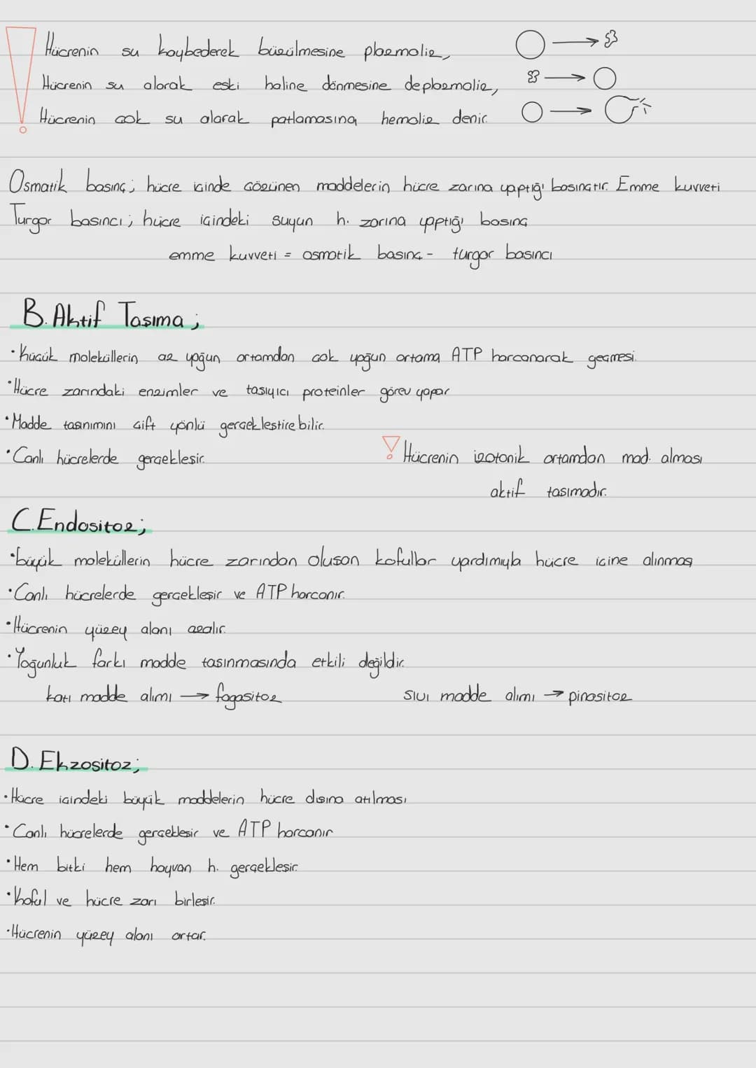 Hücre Zari
ve
-Hücre Zarından Madde Taşınması;
Prokaryot; Gekirdek zarı
ve zorli organel bulunmaz. Halkasal DNA sitopbema isinde dağınık obr