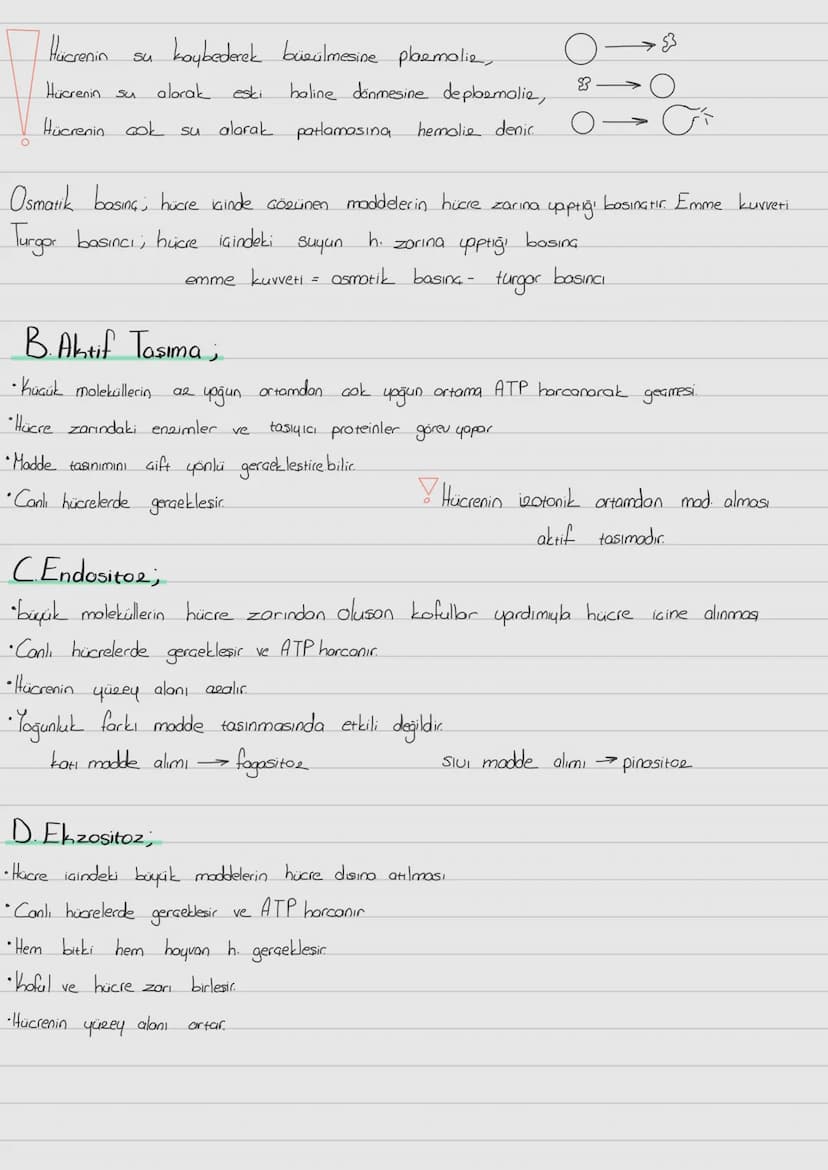 Hücre Zari
ve
-Hücre Zarından Madde Taşınması;
Prokaryot; Gekirdek zarı
ve zorli organel bulunmaz. Halkasal DNA sitopbema isinde dağınık obr