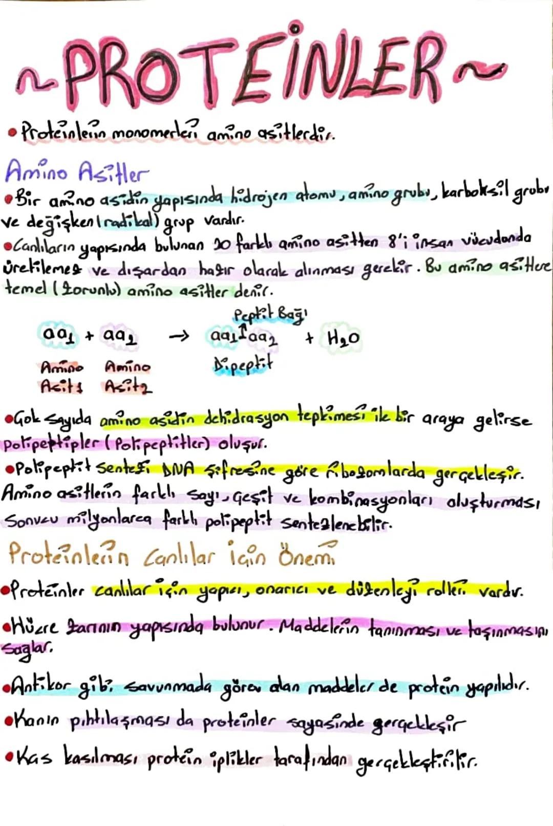 CANLILARIN TEMEL
BİLEŞENLER
Besinleri
ว
inorganik
Organik
•Su
•Mineral
• Tuz
•Karbonhidratlar
•Lipitler
•Proteinler
•Vitaminler
•Nükleik Asi