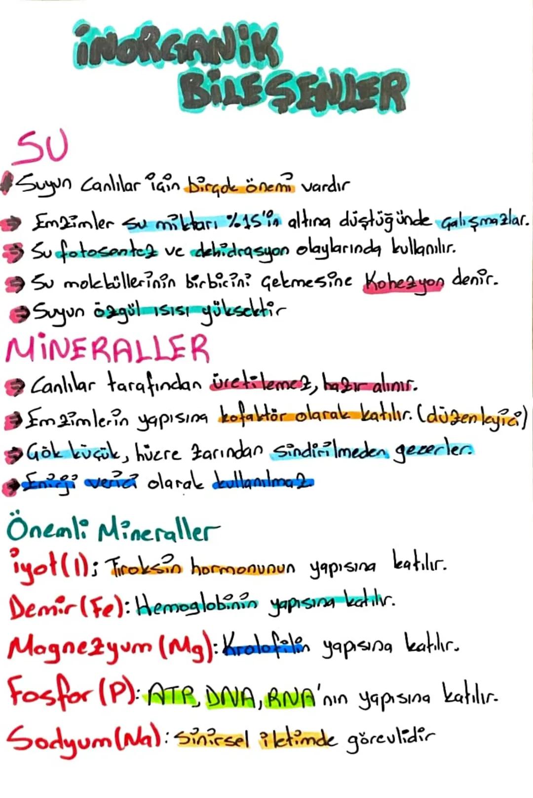 CANLILARIN TEMEL
BİLEŞENLER
Besinleri
ว
inorganik
Organik
•Su
•Mineral
• Tuz
•Karbonhidratlar
•Lipitler
•Proteinler
•Vitaminler
•Nükleik Asi