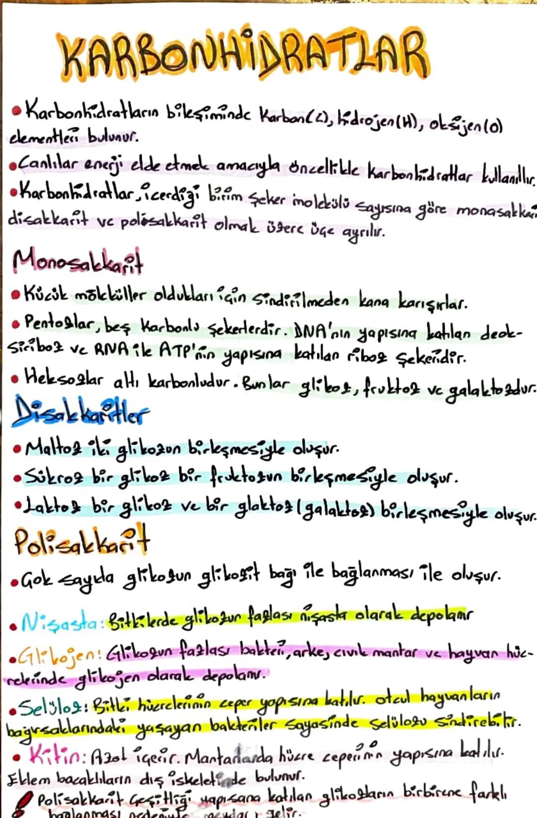 CANLILARIN TEMEL
BİLEŞENLER
Besinleri
ว
inorganik
Organik
•Su
•Mineral
• Tuz
•Karbonhidratlar
•Lipitler
•Proteinler
•Vitaminler
•Nükleik Asi