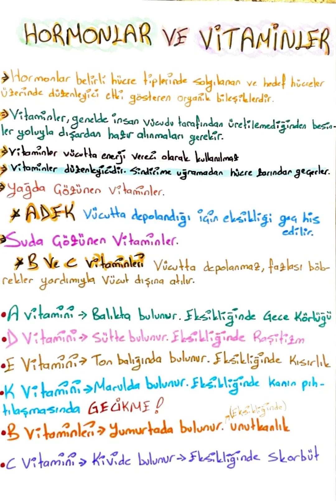 CANLILARIN TEMEL
BİLEŞENLER
Besinleri
ว
inorganik
Organik
•Su
•Mineral
• Tuz
•Karbonhidratlar
•Lipitler
•Proteinler
•Vitaminler
•Nükleik Asi