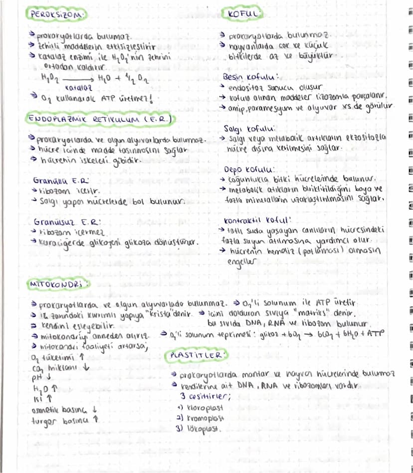 HUCRE
Hücre Teorisi:
húcre canlının temel, yapısal ve işlevsel birimidir.
→ butún canlılar bir yada daha fazla húcreden olusur
> tum metabol