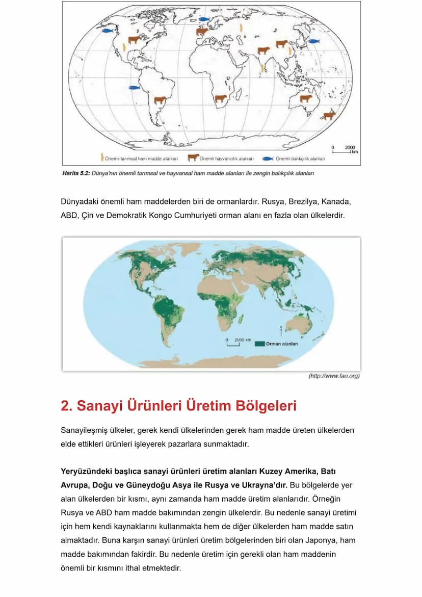 İlk Uygarlıklar
İlk uygarlıklar ve medeniyetler genel olarak Kuzey Yarım Küre'nin Sıcak ve Orta
Kuşağında kurulmuştur.
İlk insanlara ait en 