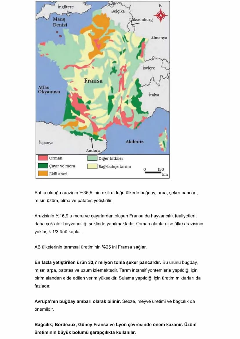 İlk Uygarlıklar
İlk uygarlıklar ve medeniyetler genel olarak Kuzey Yarım Küre'nin Sıcak ve Orta
Kuşağında kurulmuştur.
İlk insanlara ait en 