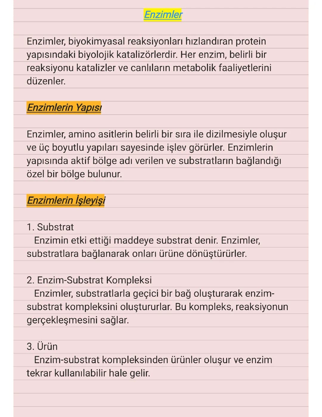 9.SINIF - ENZİMLER