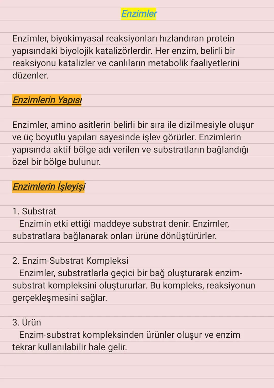Enzimler
Enzimler, biyokimyasal reaksiyonları hızlandıran protein
yapısındaki biyolojik katalizörlerdir. Her enzim, belirli bir
reaksiyonu k