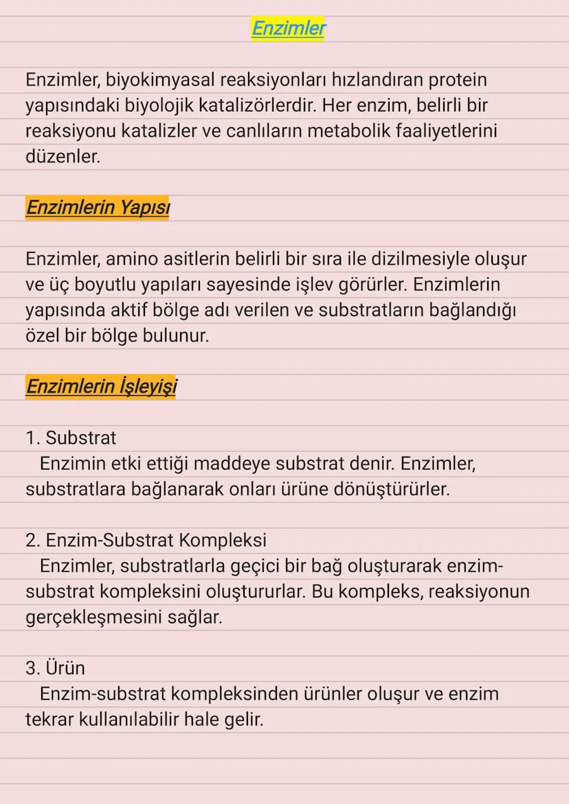 Enzimler
Enzimler, biyokimyasal reaksiyonları hızlandıran protein
yapısındaki biyolojik katalizörlerdir. Her enzim, belirli bir
reaksiyonu k