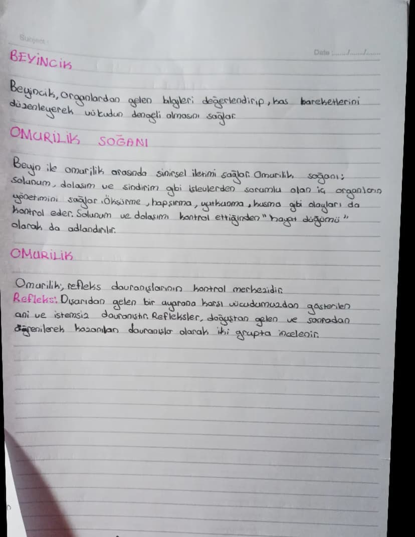 # Subject:

Date:

DENETLEYİCİ VE DÜZENLEYİCİ
SİSTEMLER

## SİNİR SİSTEMİ
↓

Merkezi s.s.     Geucesel s.s.
- Beyin         - Hipofiz
- Beyi