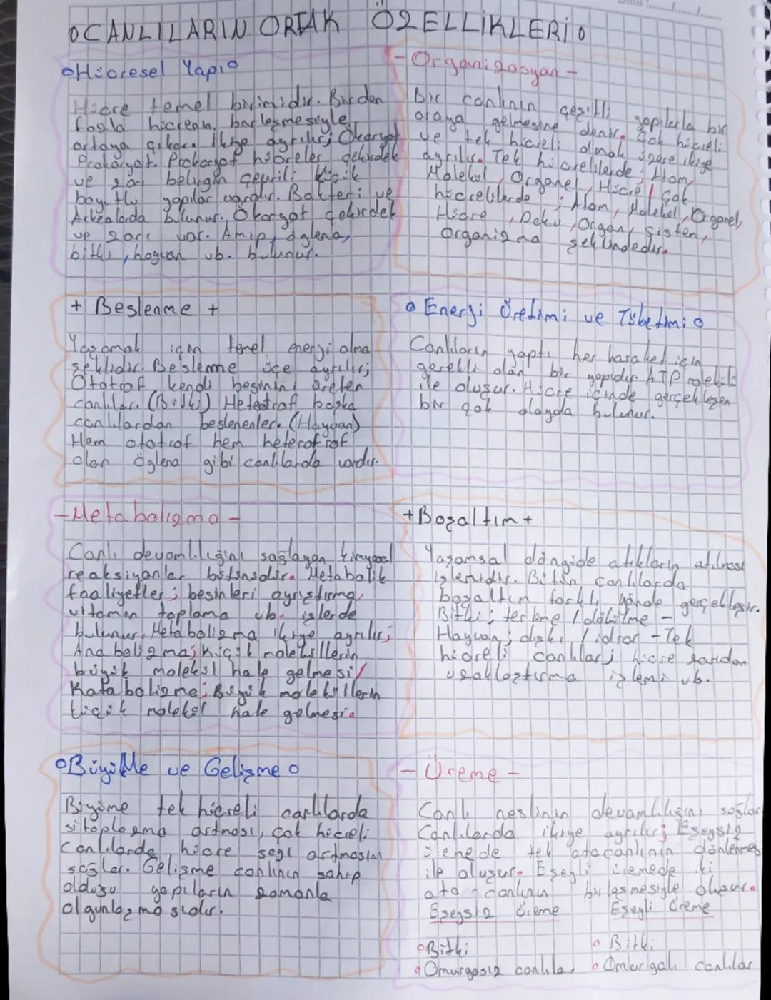 OCANLILARIN ORTAK OZELLİKLERİO

Hicresel Yaριο

-Organizasyan-

Hiare temel birimidir. Burden bir canlının çeşitli yopilerla bir
fos la hicr