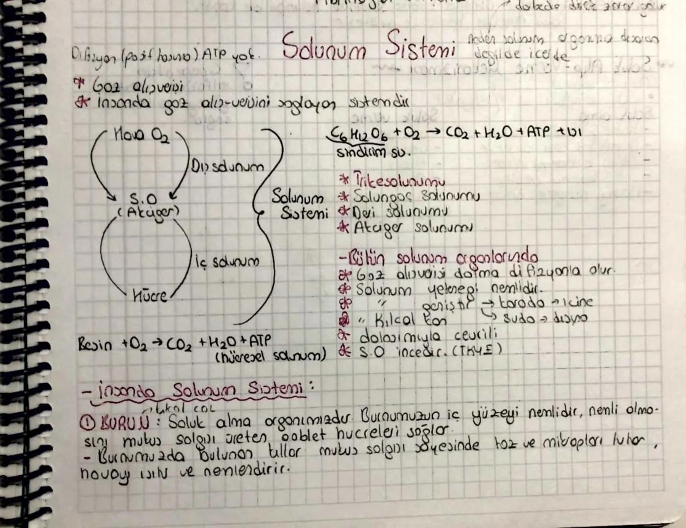 - dobede does after
Diksiyon (post harro) ATP yok. Solunum Sistemi de cede
* 601 alışverişi
& insonda goz alu-vervini saglayer sistemdir
gon