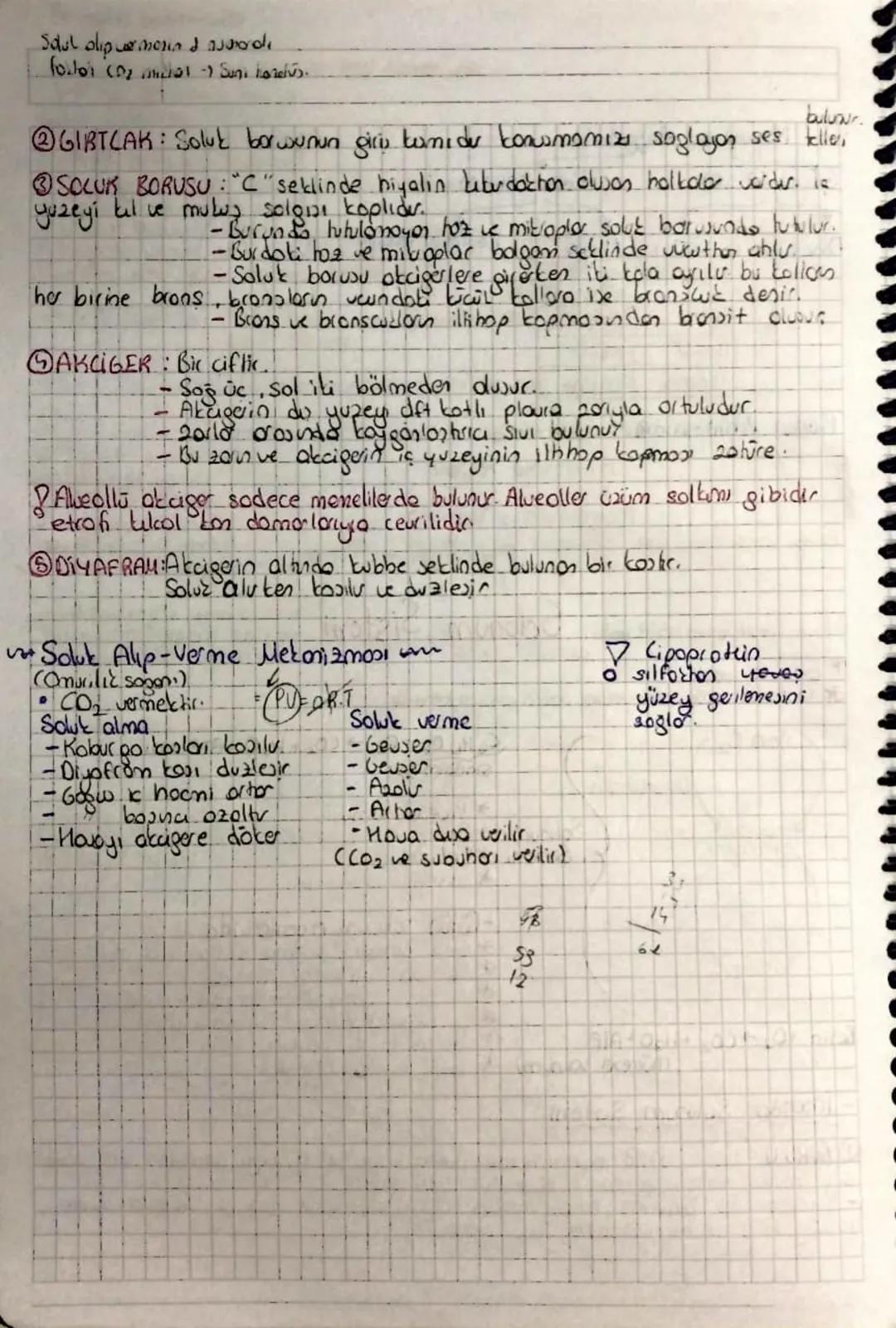 - dobede does after
Diksiyon (post harro) ATP yok. Solunum Sistemi de cede
* 601 alışverişi
& insonda goz alu-vervini saglayer sistemdir
gon