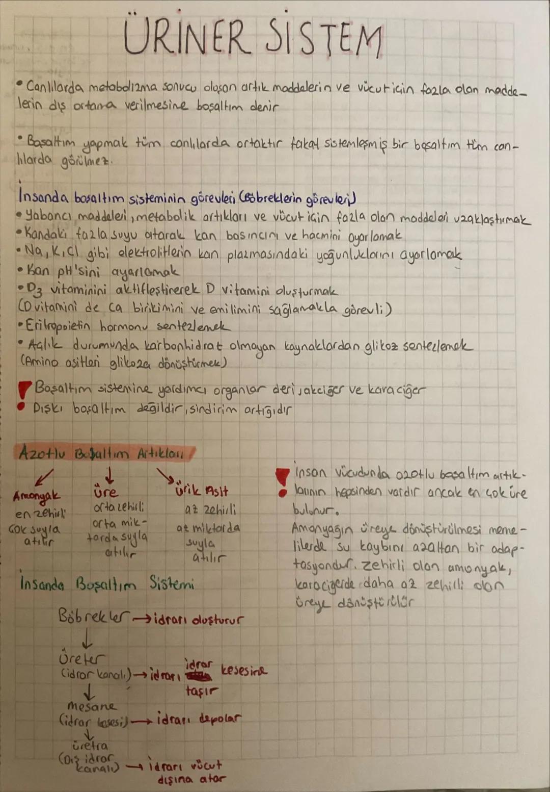 •
ÜRİNER SİSTEM
Canlılarda metabolizma sonucu oluşan artık maddelerin ve vücut için fazla olan madde-
lerin diş ortama verilmesine boşaltım 