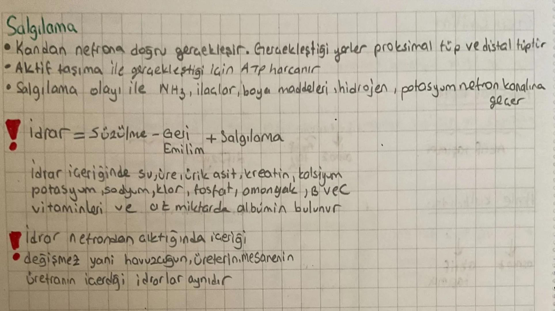 •
ÜRİNER SİSTEM
Canlılarda metabolizma sonucu oluşan artık maddelerin ve vücut için fazla olan madde-
lerin diş ortama verilmesine boşaltım 