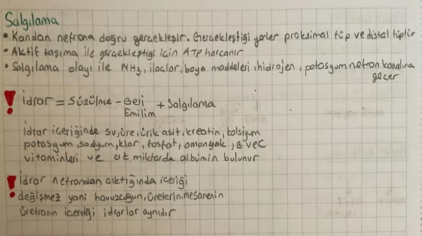 •
ÜRİNER SİSTEM
Canlılarda metabolizma sonucu oluşan artık maddelerin ve vücut için fazla olan madde-
lerin diş ortama verilmesine boşaltım 