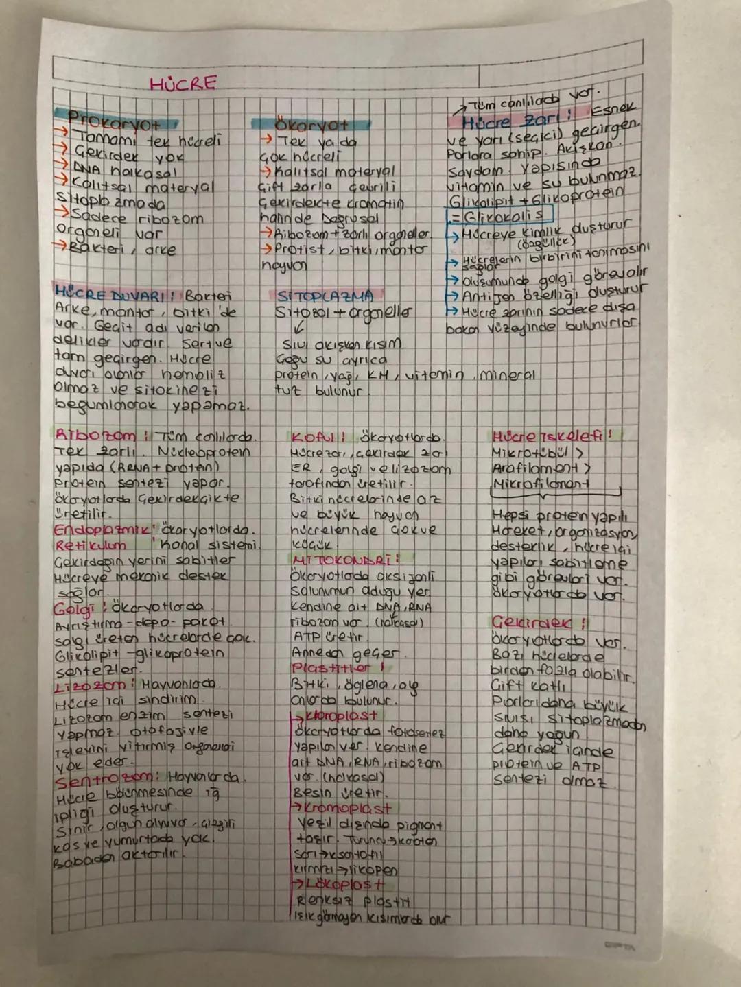 hücrenin yapısı ve organeller