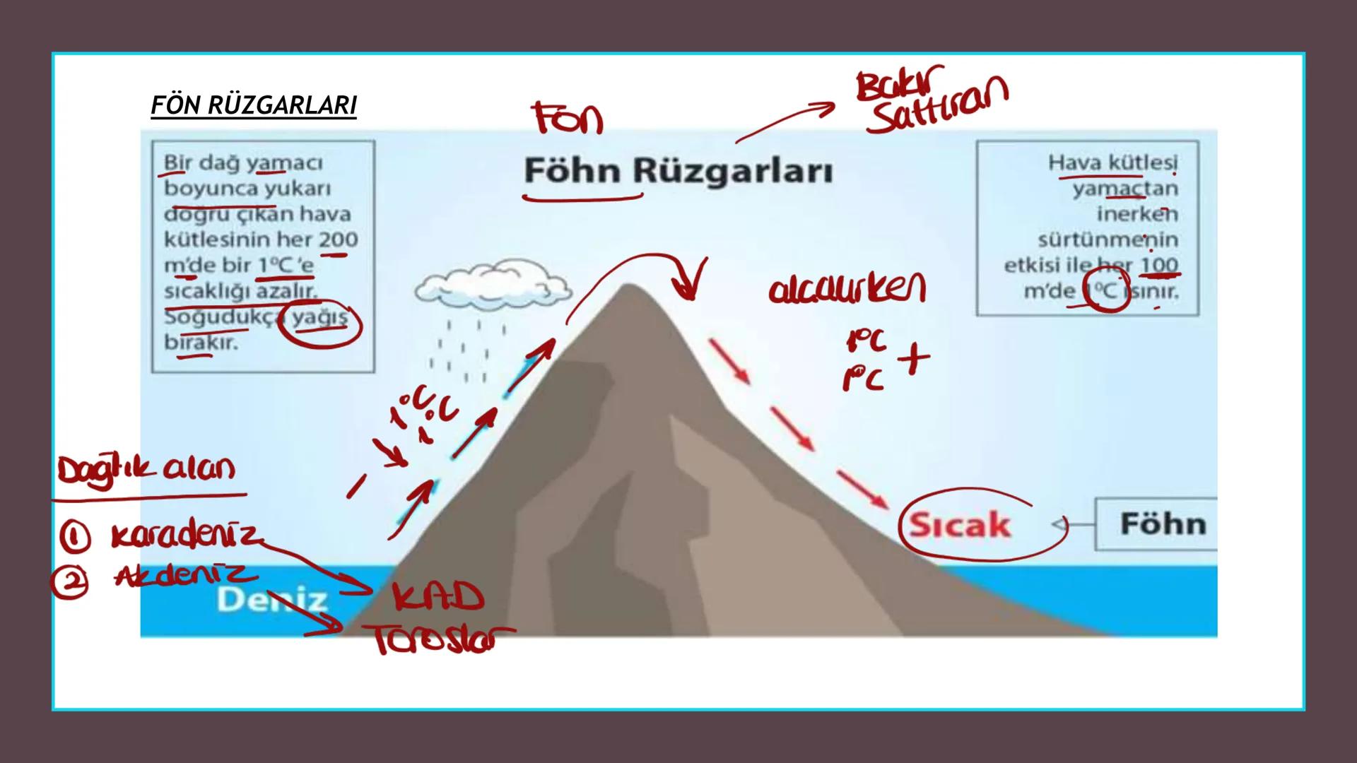 TÜRKİYE'NİN İKLİMİ İklim
Mutlak Konum
matematik
► Akdeniz İklimi görülür.
► Batı rüzgarları görülür.
‣ Cephe yağışları etkilidir.
Dört mevsi