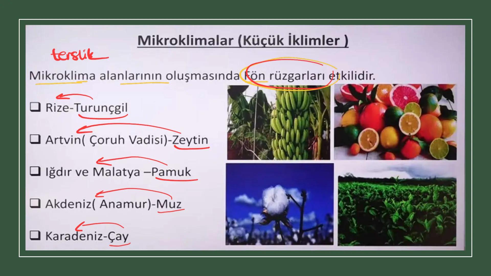 TÜRKİYE'NİN İKLİMİ İklim
Mutlak Konum
matematik
► Akdeniz İklimi görülür.
► Batı rüzgarları görülür.
‣ Cephe yağışları etkilidir.
Dört mevsi