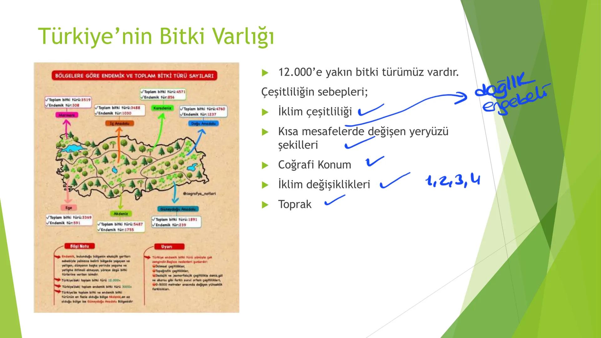 TÜRKİYE'NİN İKLİMİ İklim
Mutlak Konum
matematik
► Akdeniz İklimi görülür.
► Batı rüzgarları görülür.
‣ Cephe yağışları etkilidir.
Dört mevsi