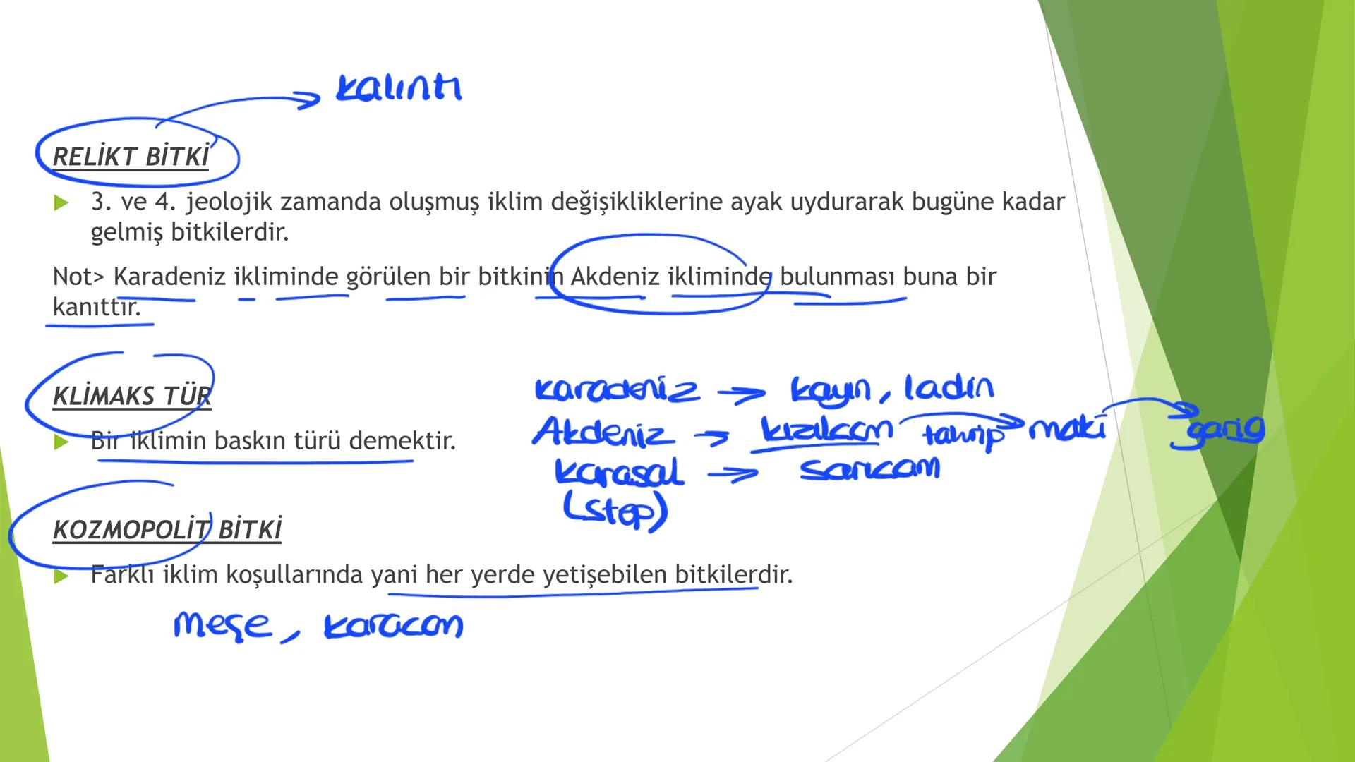 TÜRKİYE'NİN İKLİMİ İklim
Mutlak Konum
matematik
► Akdeniz İklimi görülür.
► Batı rüzgarları görülür.
‣ Cephe yağışları etkilidir.
Dört mevsi