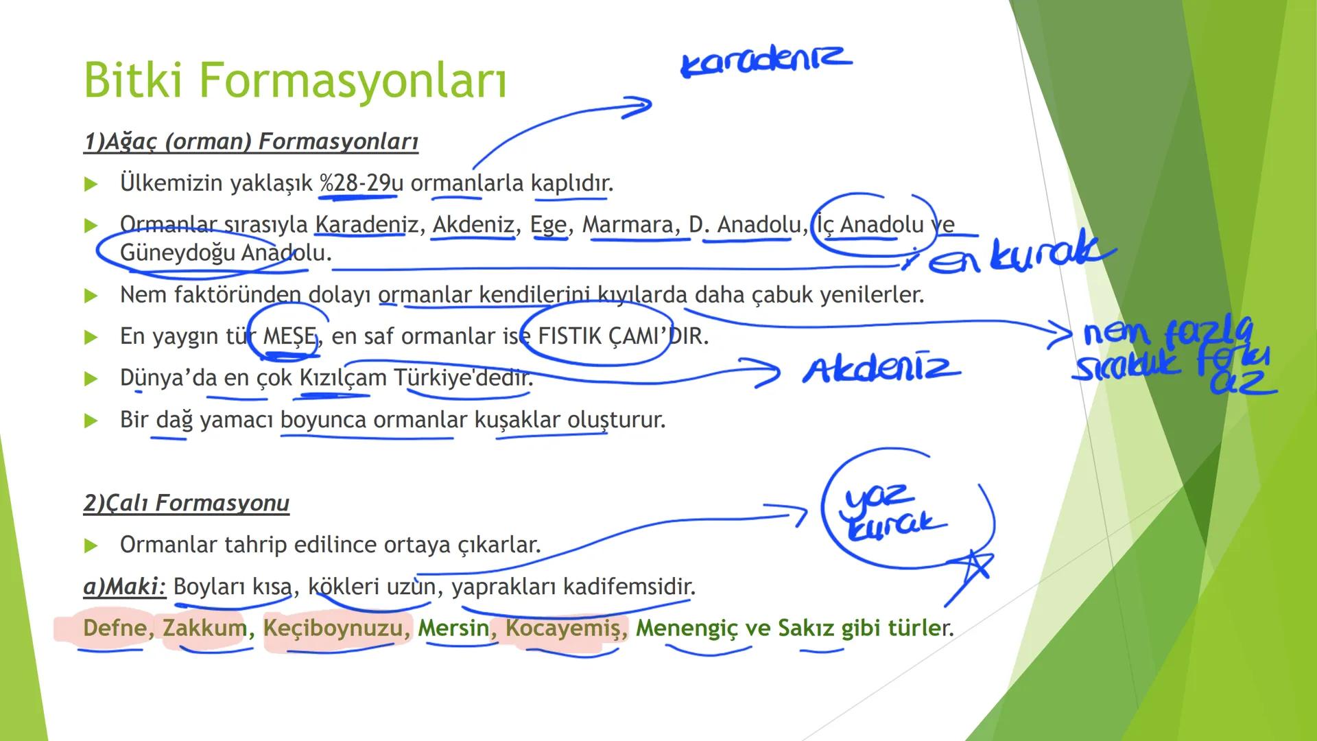 TÜRKİYE'NİN İKLİMİ İklim
Mutlak Konum
matematik
► Akdeniz İklimi görülür.
► Batı rüzgarları görülür.
‣ Cephe yağışları etkilidir.
Dört mevsi