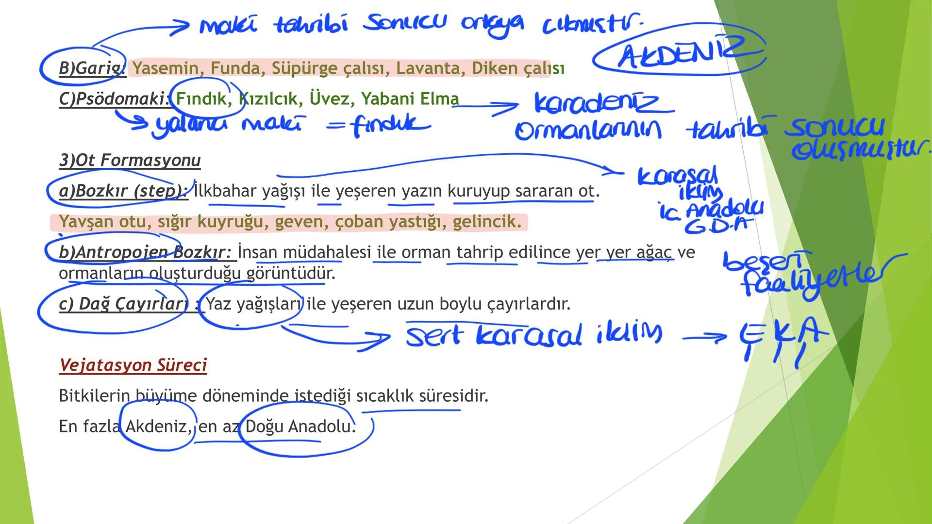 TÜRKİYE'NİN İKLİMİ İklim
Mutlak Konum
matematik
► Akdeniz İklimi görülür.
► Batı rüzgarları görülür.
‣ Cephe yağışları etkilidir.
Dört mevsi