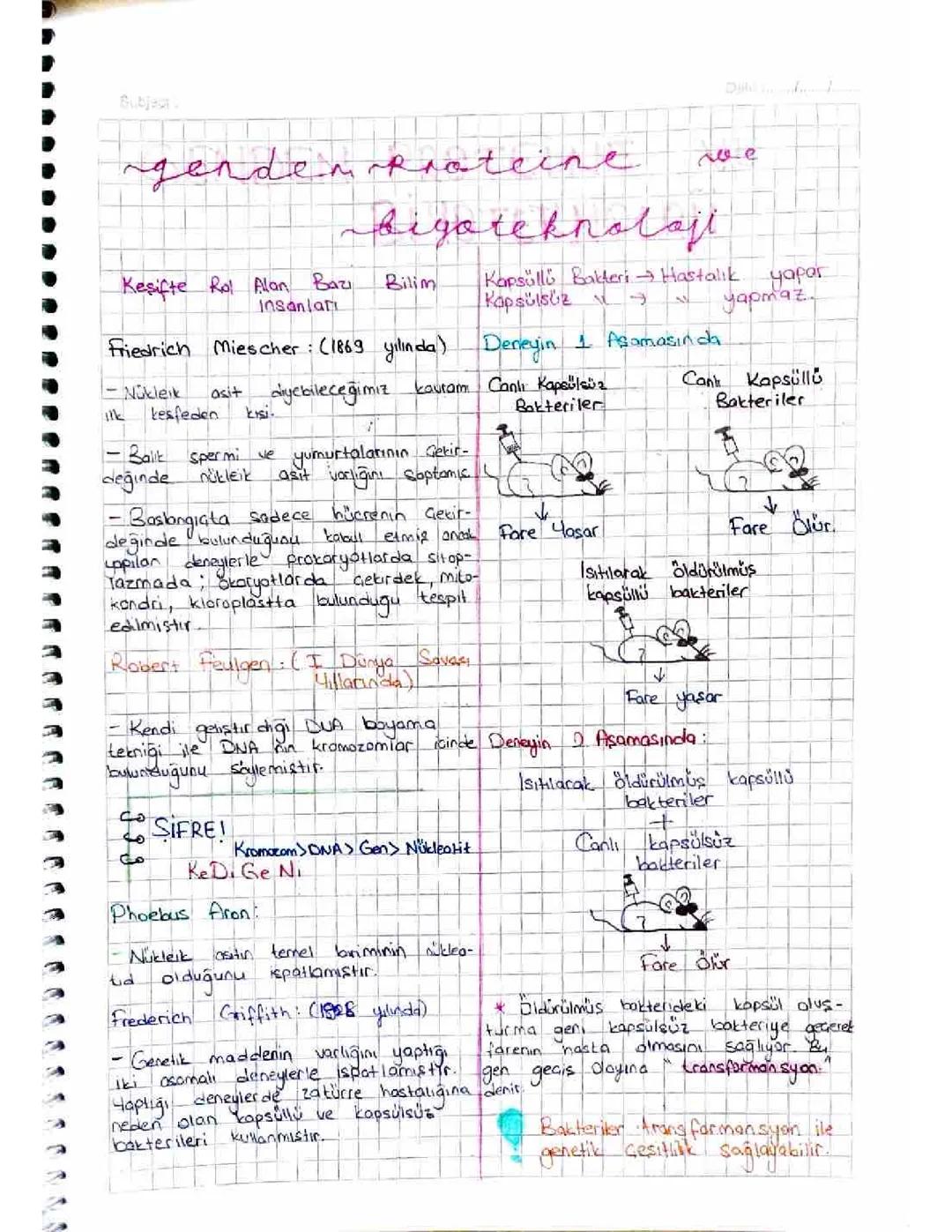 Genden Proteine ve Biyoteknoloji Notları