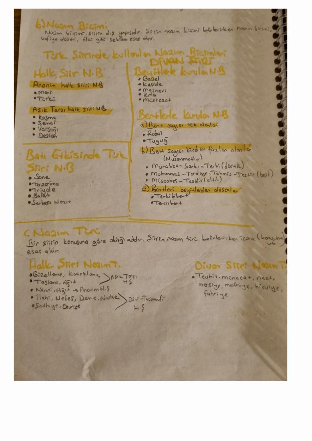 Nazım Biçimi Nedir? Örneklerle Açıklama