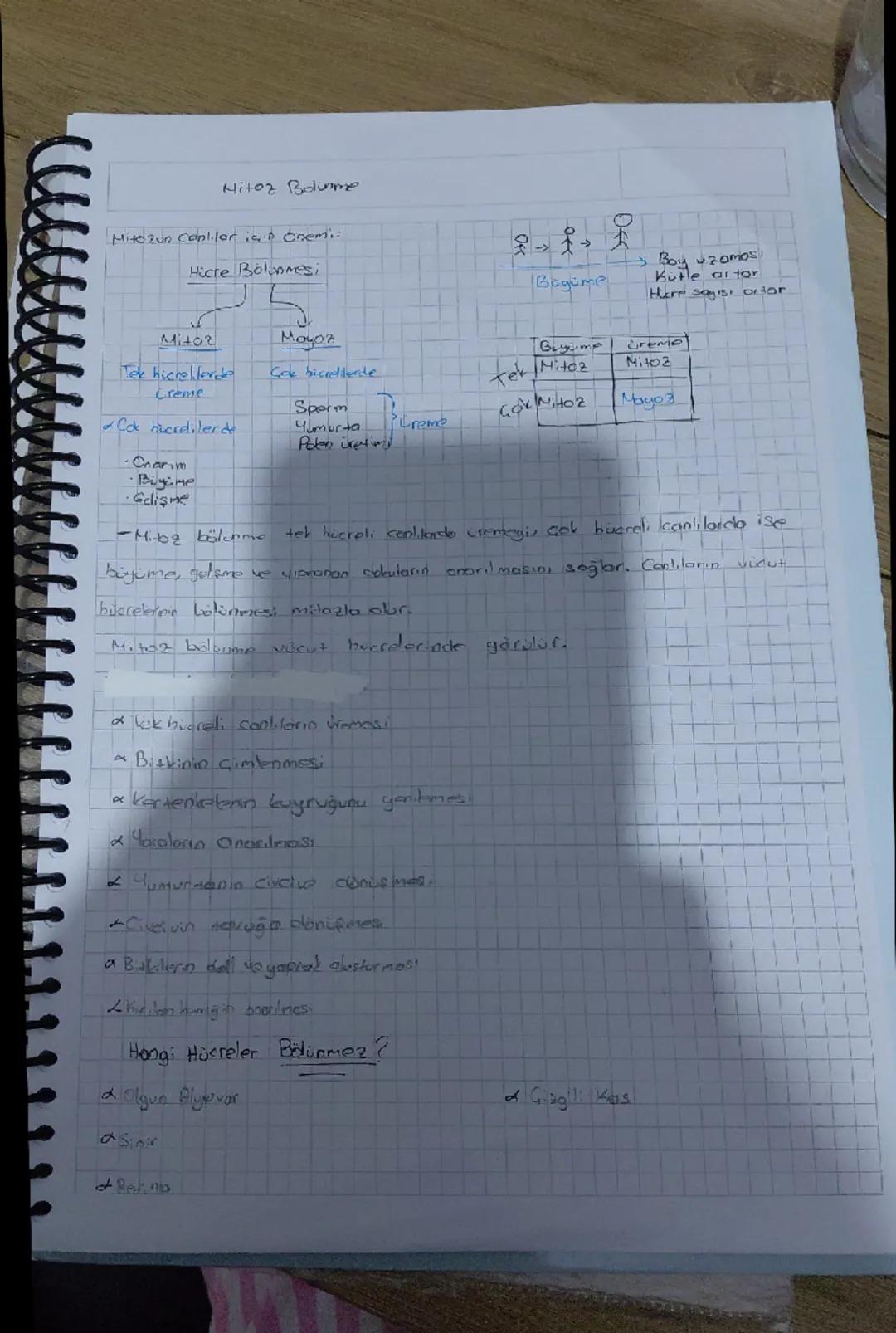 7. Sınıf Fen bilimleri mitoz bölünme özet