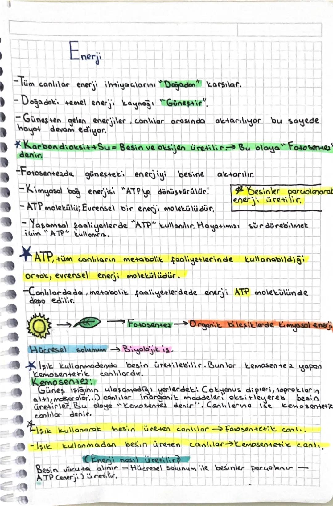 Biyoloji enerji konusu özet 