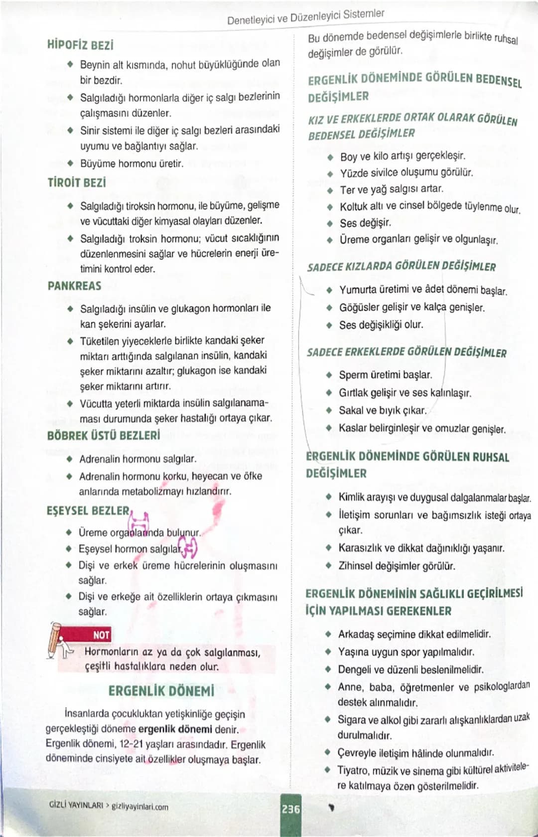 6.sınıf fen sinir sistemi,iç salgı bezleri ve ergenlik 