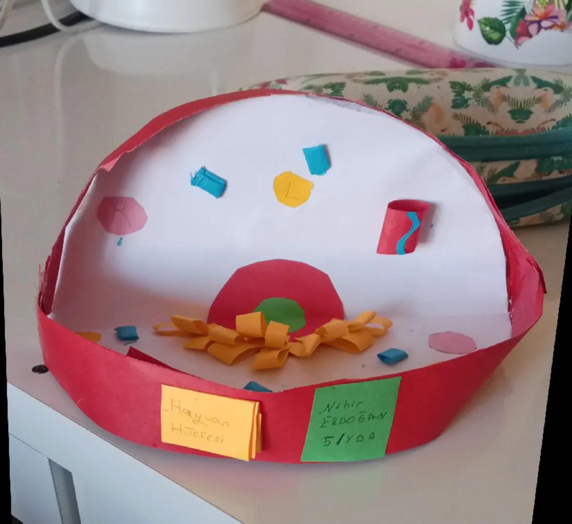 Hayvan
Hücresi
Nehir
ERDOGAN
5/YDA