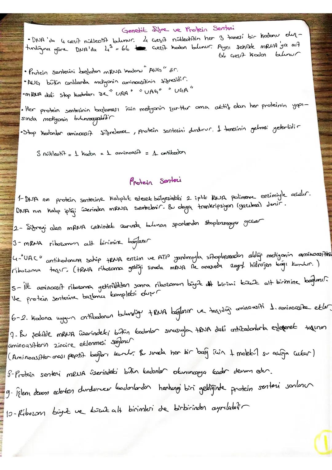 # Genetit Sifre ve Protein Senteri

•DNA 'da 4 gesit nükleotit bulunur. 4 Geşit nütleatitin her 3 tanesi bir kodonu olur-
tundiguna göre DNA