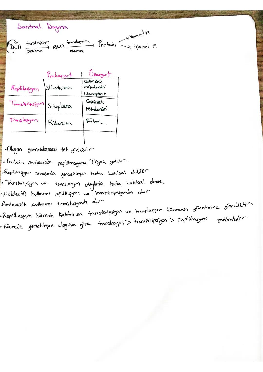 # Genetit Sifre ve Protein Senteri

•DNA 'da 4 gesit nükleotit bulunur. 4 Geşit nütleatitin her 3 tanesi bir kodonu olur-
tundiguna göre DNA