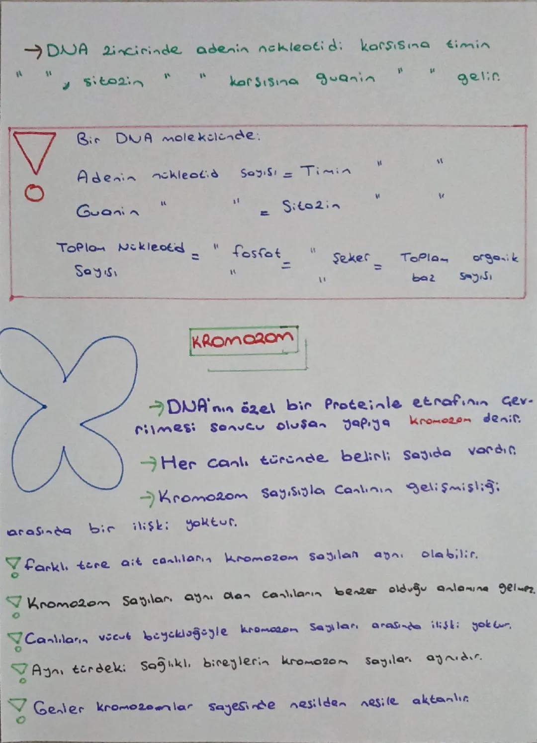 DNA
DNA VE GENETIK KOO
Canlıları kalıtsal özelliklerinin nesilden
nesile aktarılmasını sağlayan yönetici mole.
külden
Hücrenin yönetim ve de