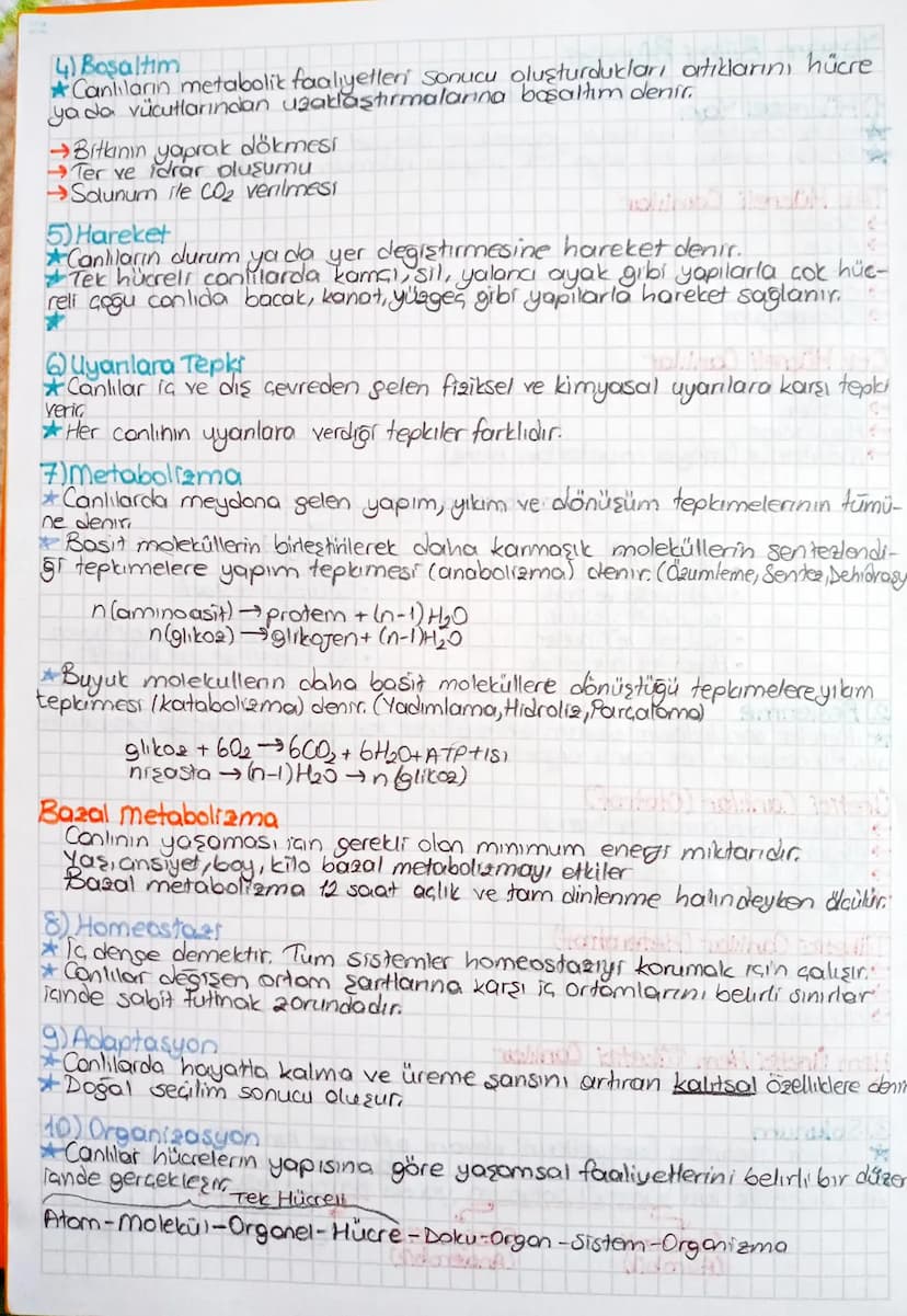 citloga
Yaşam Bilimi Biyoloji
1) Hücresel Yapı
Canlıların Ortak Özellikleri
Hücre canlının en küçük yapısal ve işlevsel birimidir.
Bütün can