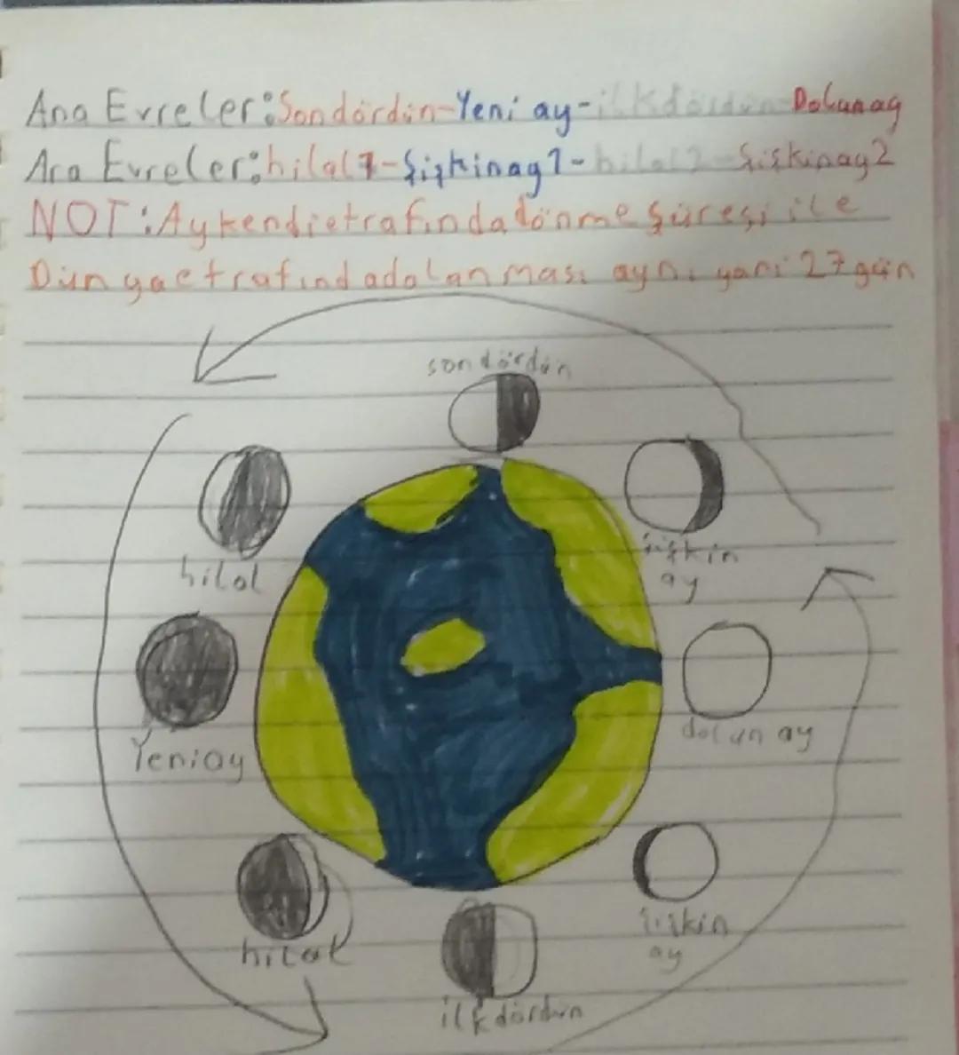 Ayın Evreleri: Detaylı Bilgiler ve Anahtar Notlar