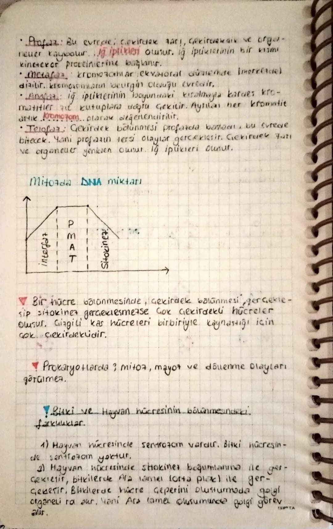 Hücre Bölünmeleri ve üreme Gesitteri.
Hücre Bölünmeleri
Hücre bölünmeden önce kaitun materyali (kromozom)
bir ip yumaşina benzer Buna Kromat