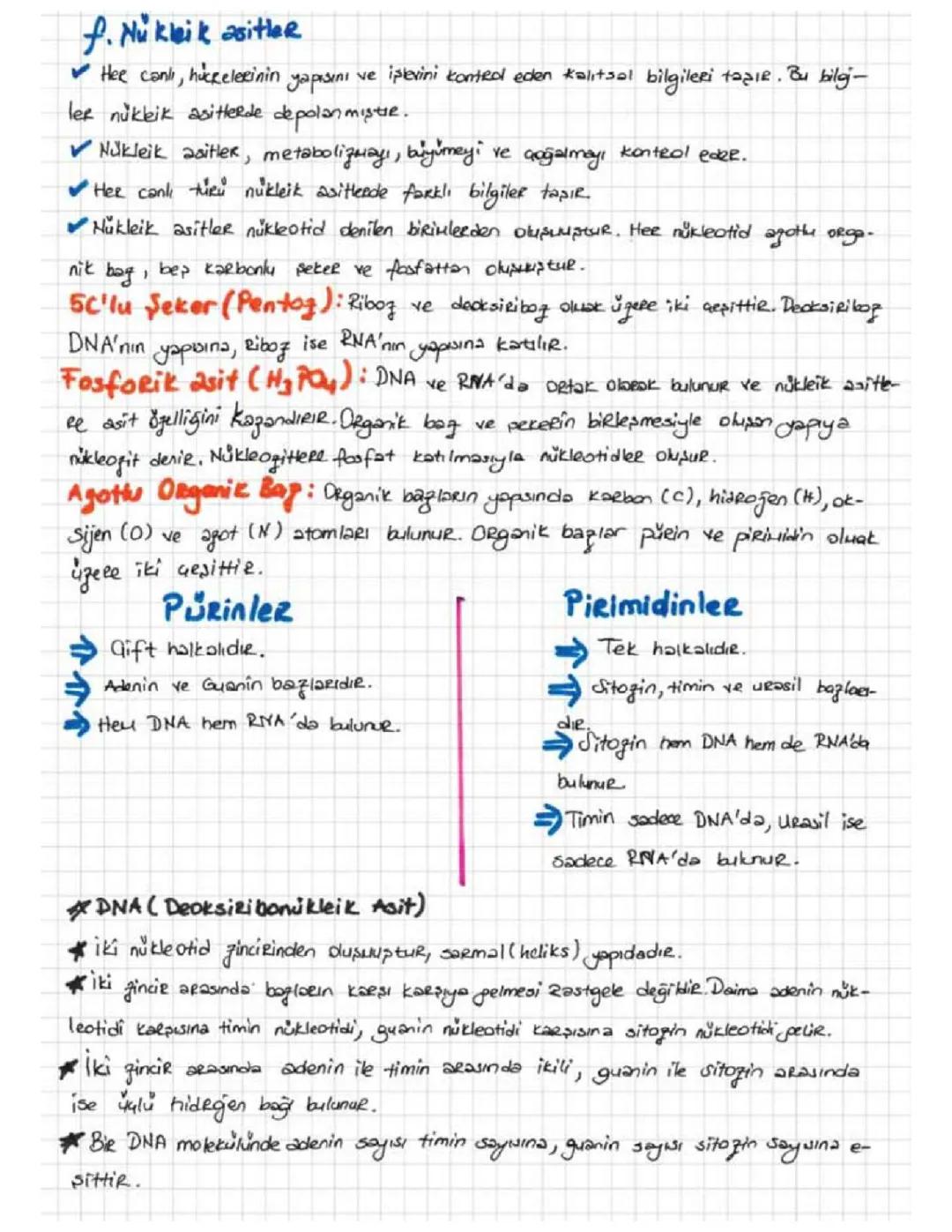 TYT BİYOLOJİ NÜKLEİK ASİTLER