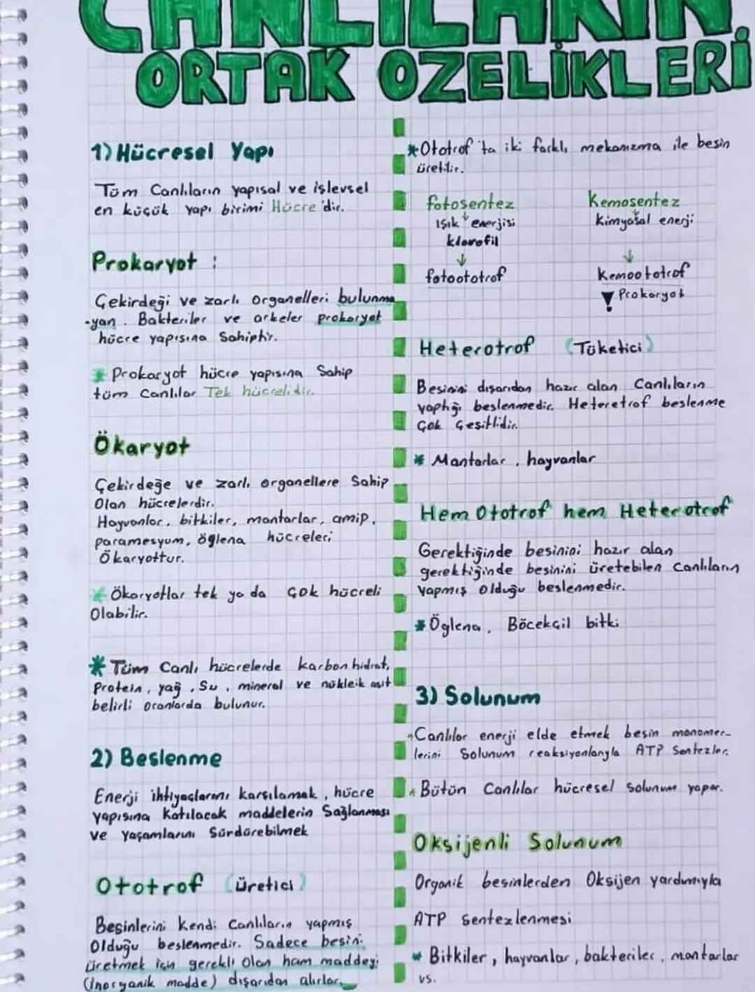 Canlıların Ortak Özellikleri 