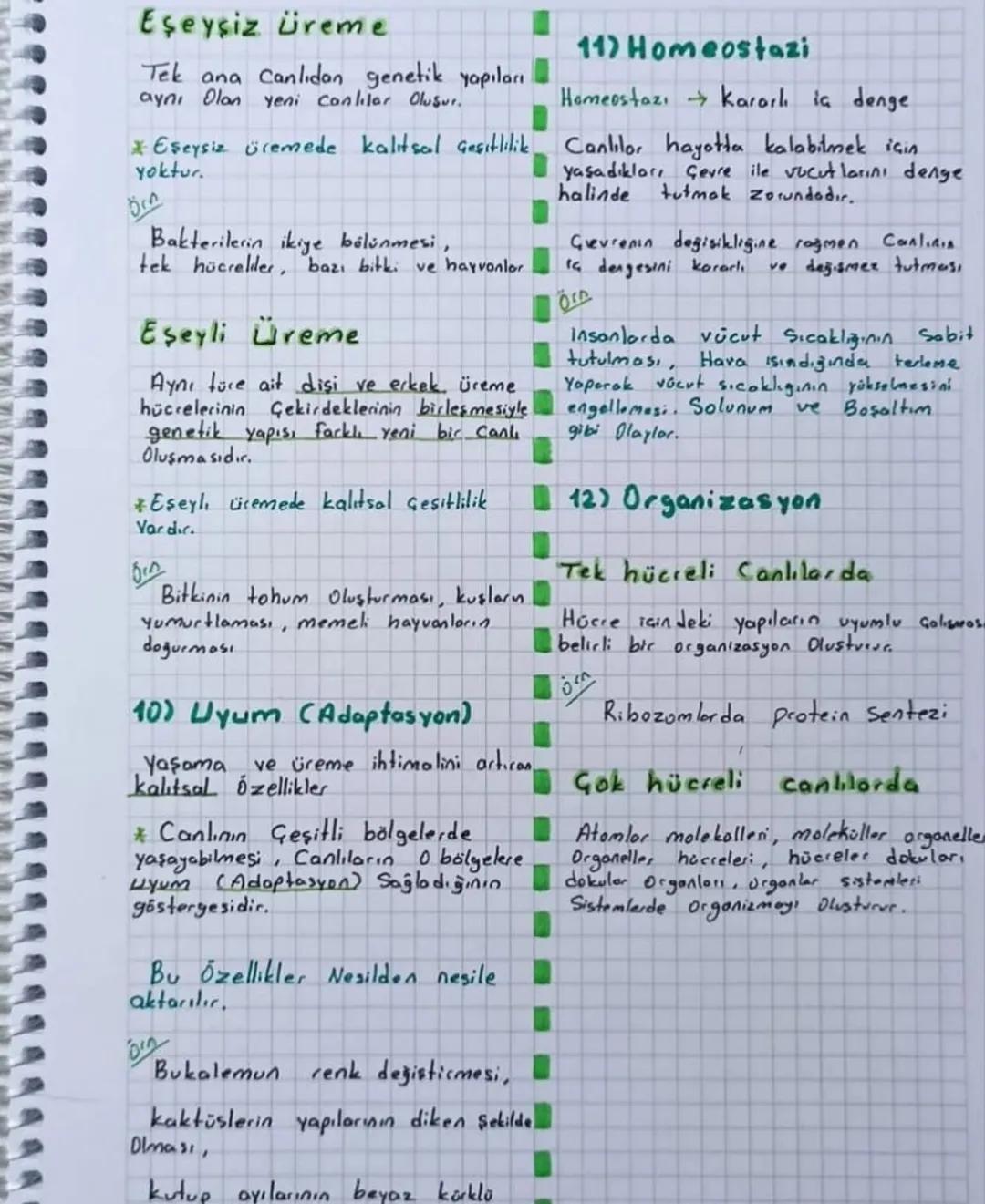 # CANLILARIN
## ORTAK OZELİKLERİ

1) Hücresel Yapı

Tüm Canlıların yapısal ve işlevsel
en küçük yapı birimi Hücre 'dir.

Prokaryot:

Gekirde