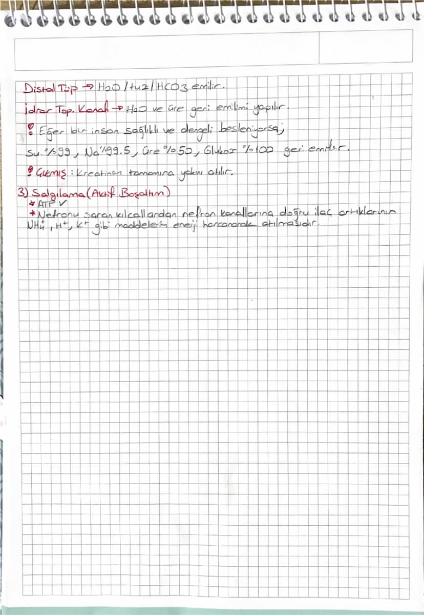 # BOŞALTIM SİSTEMİ 

*Dr. Biyoloji'den

Amacı: Fazla ve artık maddeleri atarak homeostaziye yardımcı olmak.
- su
- iyon
- üre
- mineral
- vi