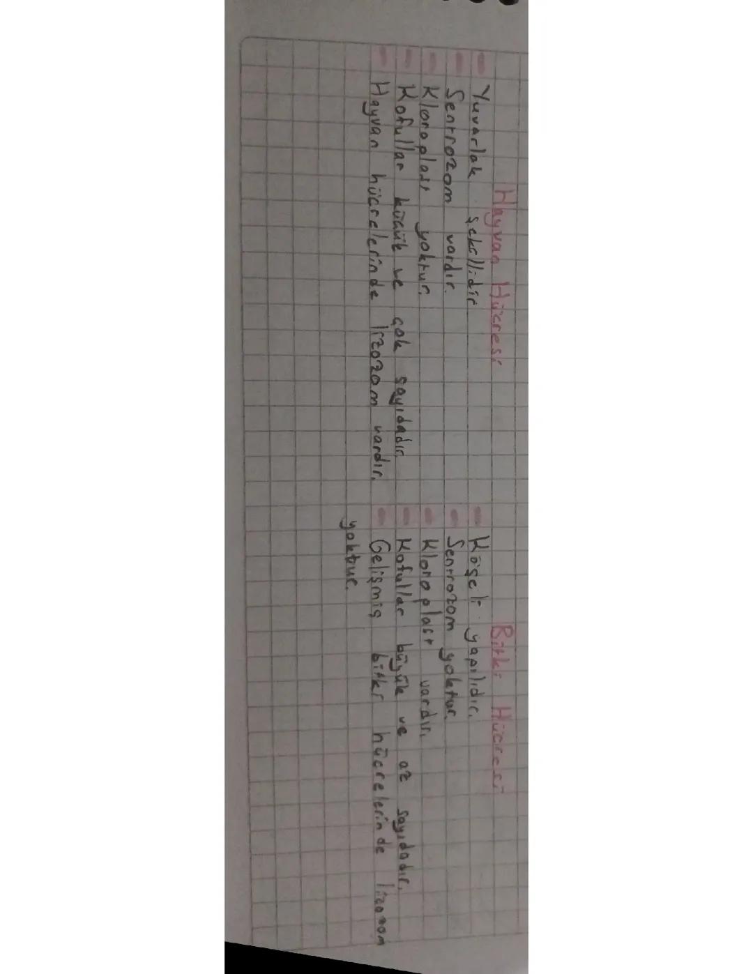 7. Sınıf Fen Bilimleri: Bitki ve Hayvan Hücreleri Karşılaştırması