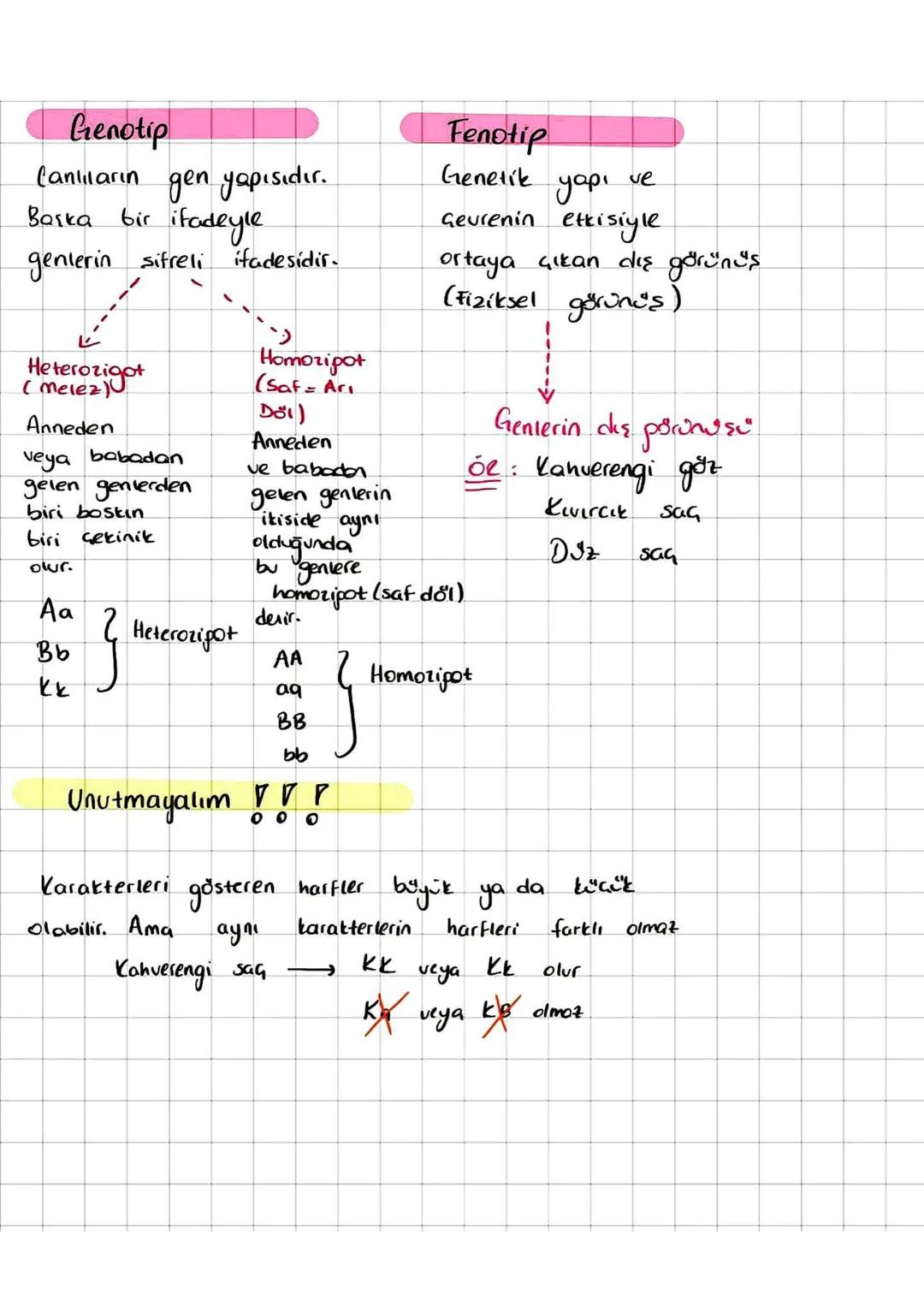 Alıştırmalar
1) Homozigot uzun boylu bezelye tohumu ile
kısa
boylu bezelye tohumu Caprarlanıyor
Olusan bezelyelerin fenotip - genotip
oranla