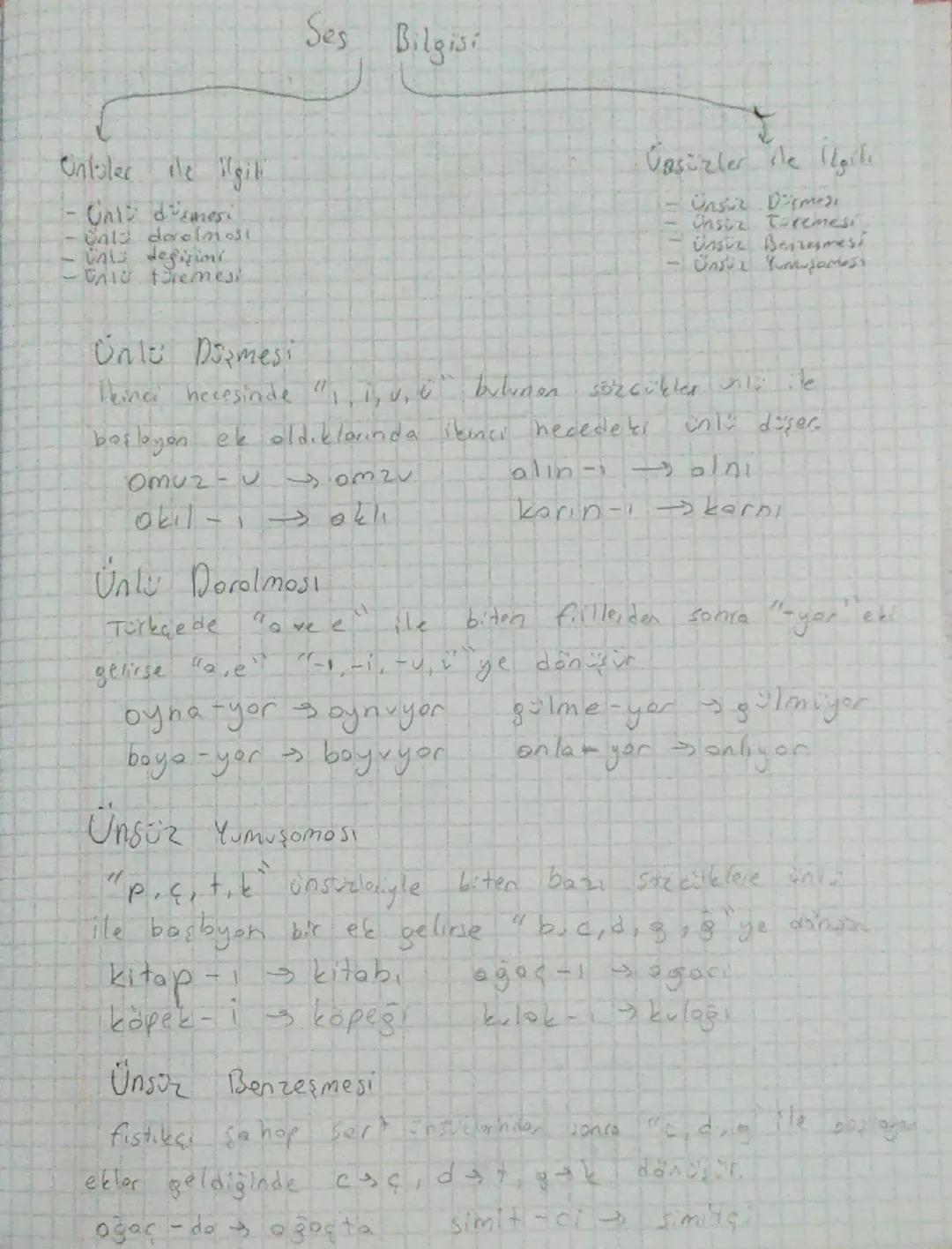 Edebiyat
Edebiyat: Duygu, dütünce ve
oktorilmos din
hayallerin söe vem yoriy to
Simflandırılmos,
Gizel
Sonotloun
A) Plastik (Görsel Sanatlar