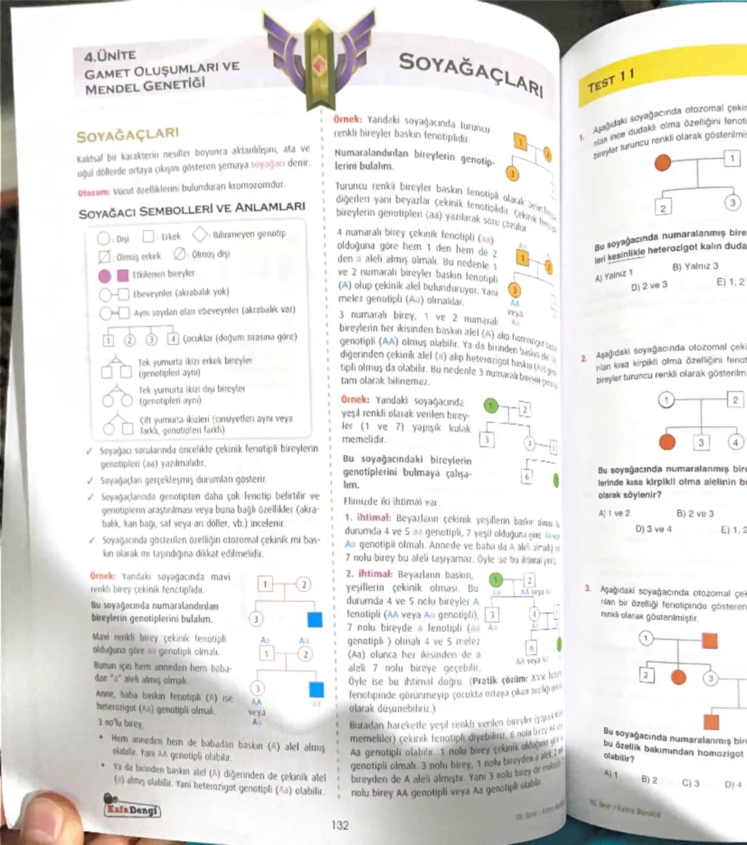 4.ÜNİTE
GAMET OLUŞUMLARI VE
MENDEL GENETİĞİ
Türe özgü karakterlerin yavrulara aktarılmasına kalıtım, bunu
incelleyen bilime de genetik denir
