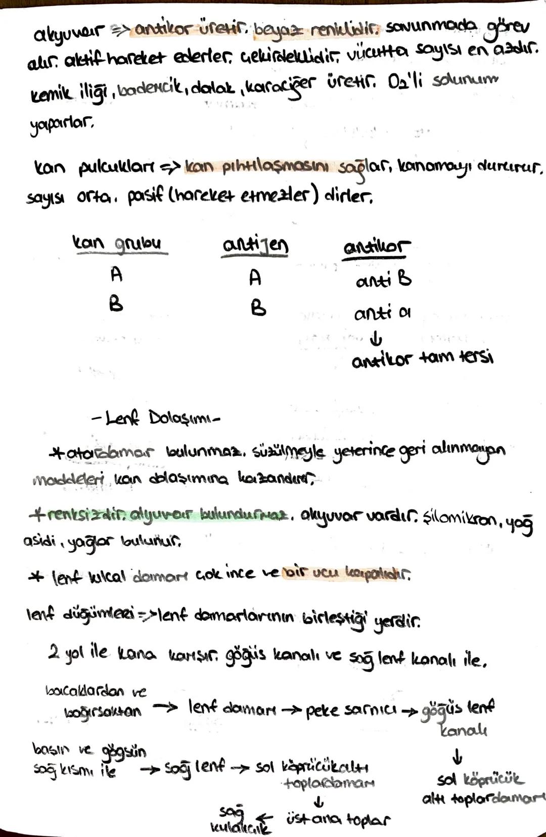 ön
Hipofiz
arka
ACTH (böbrek üstú bezi)
*STH (büyüme)
* TSH (tiroit uyanıcı)
*MSH (deriye renk)
*LTH (süt bezi)
+ FSH (testis, yumurtalık)
L