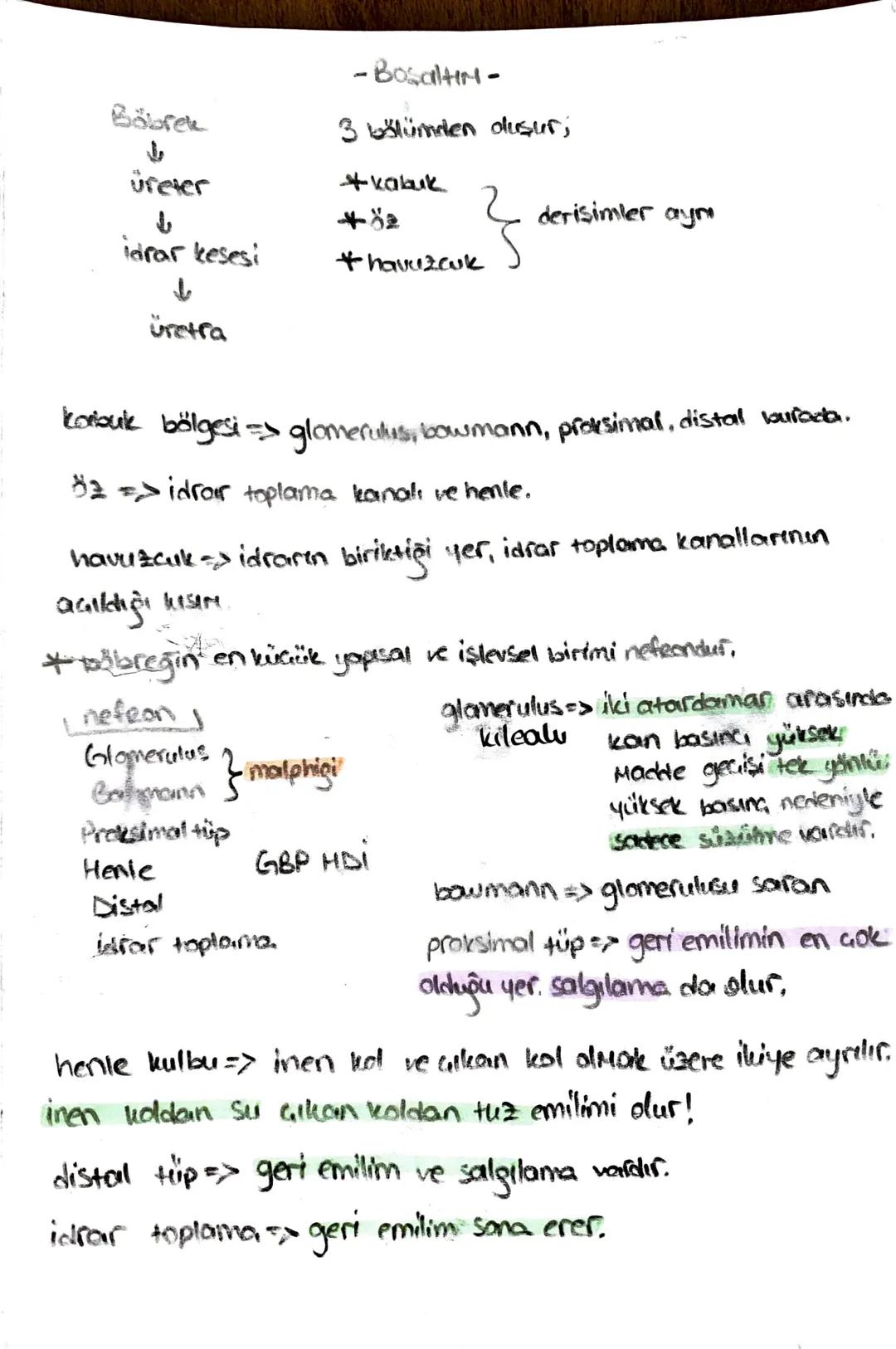 ön
Hipofiz
arka
ACTH (böbrek üstú bezi)
*STH (büyüme)
* TSH (tiroit uyanıcı)
*MSH (deriye renk)
*LTH (süt bezi)
+ FSH (testis, yumurtalık)
L